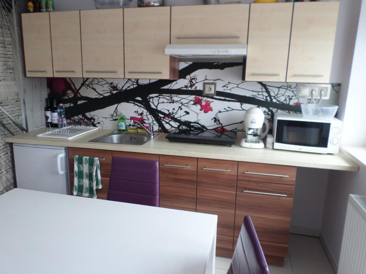 Cecilia Apartman Διαμέρισμα Sárvár Εξωτερικό φωτογραφία